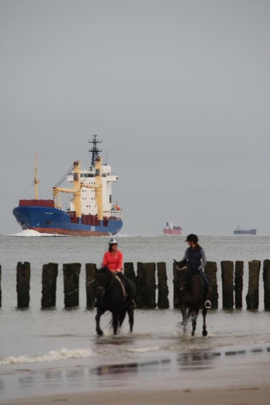 Vakantiewoning "Aan Het Bosje" Zoutelande - Strand 200M ! エクステリア 写真