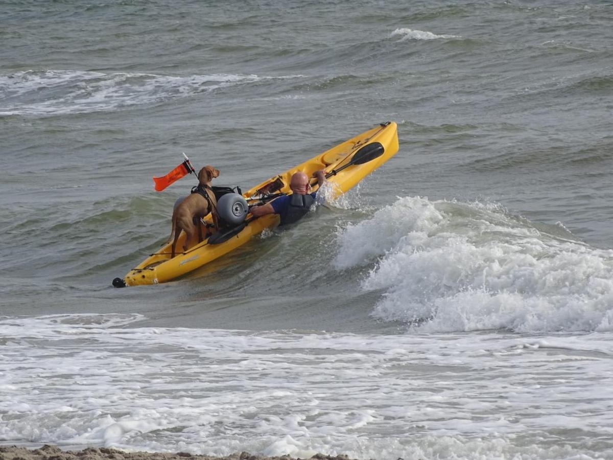 Vakantiewoning "Aan Het Bosje" Zoutelande - Strand 200M ! エクステリア 写真